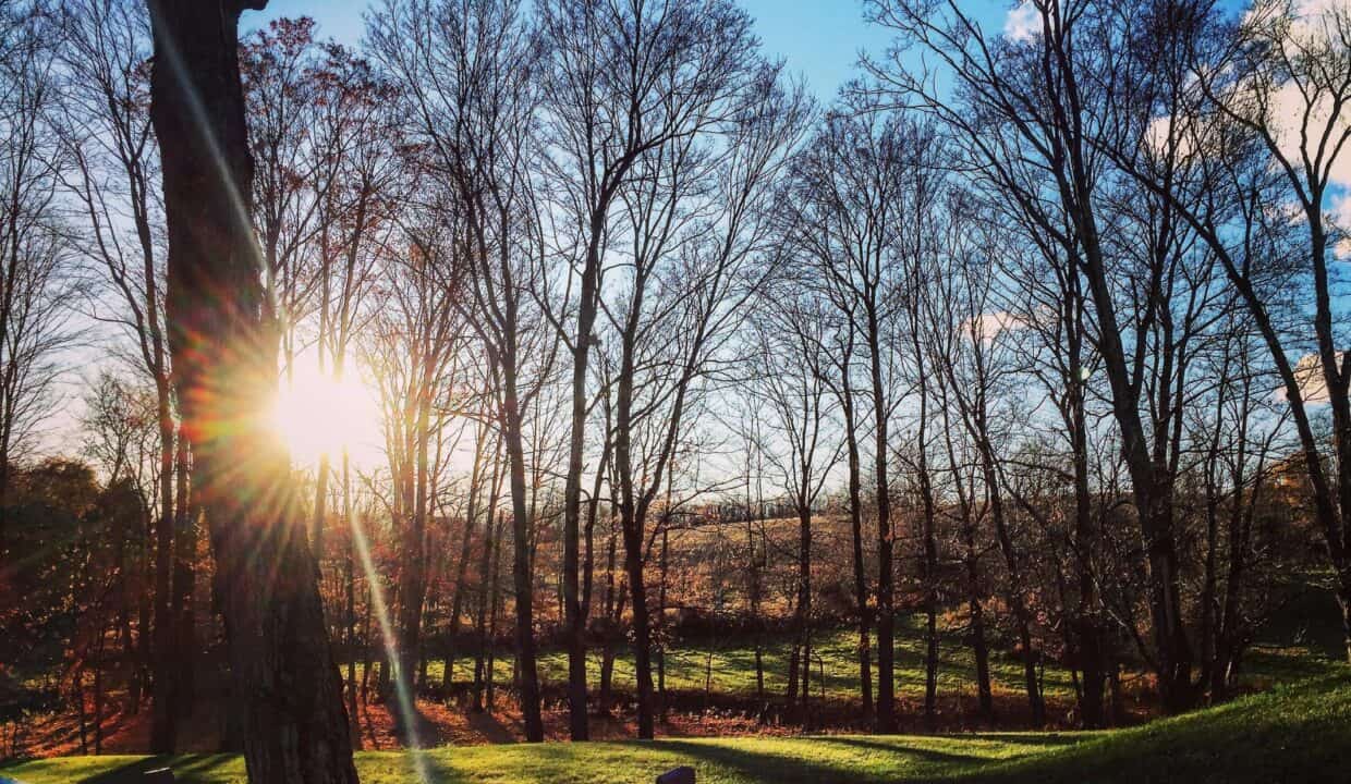 20251029161248515994000000-o