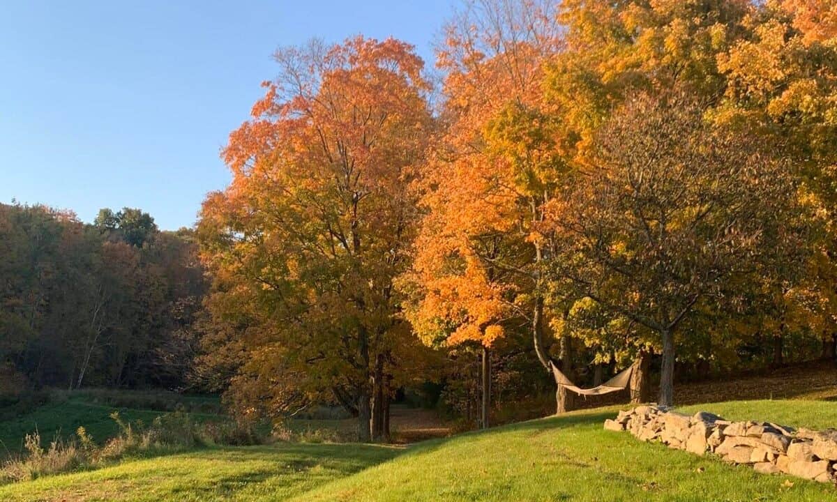 20251029161248583068000000-o