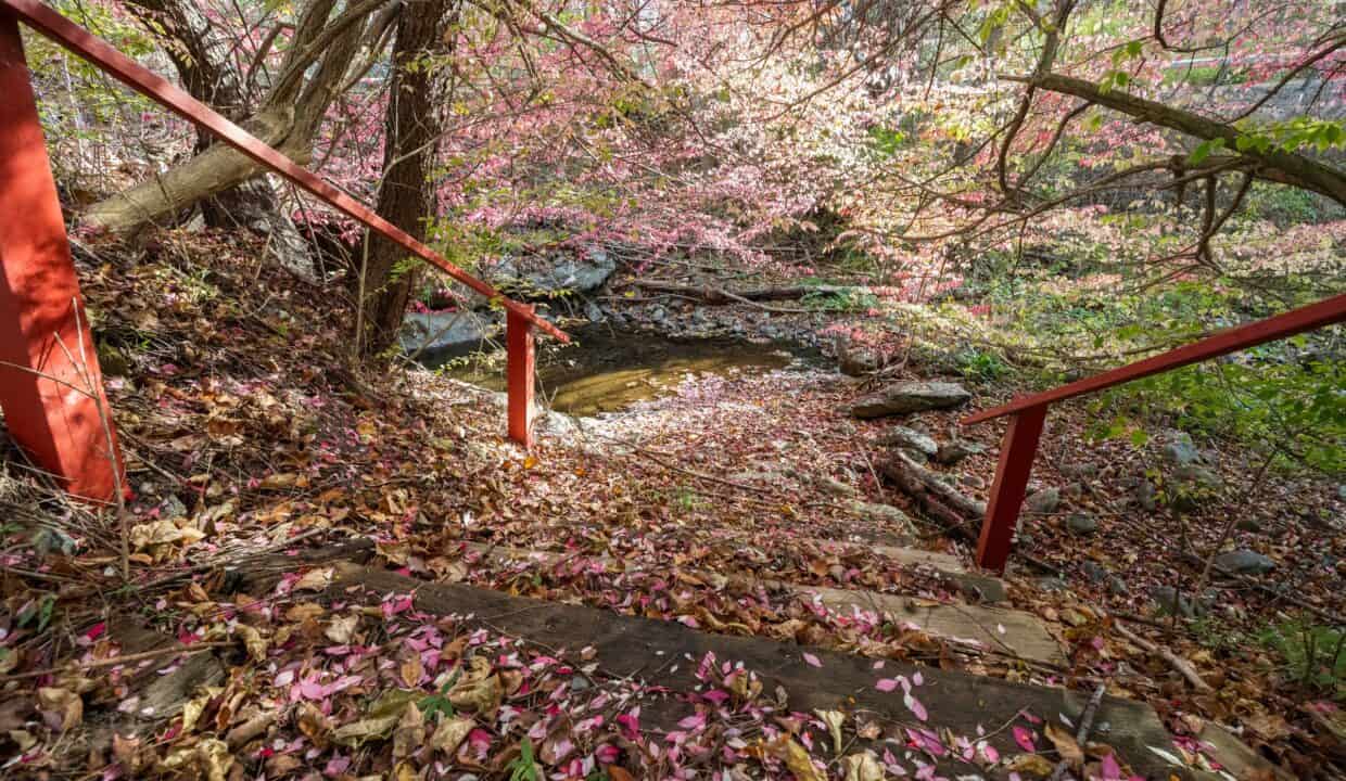 20251103213230681492000000-o