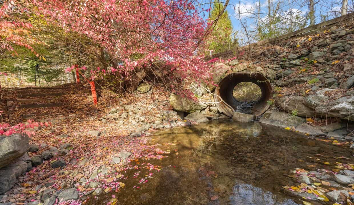 20251103213245163798000000-o