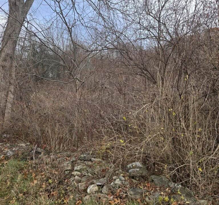 20251114135748687950000000-o