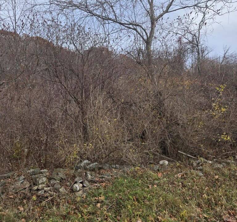 20251114135814381682000000-o