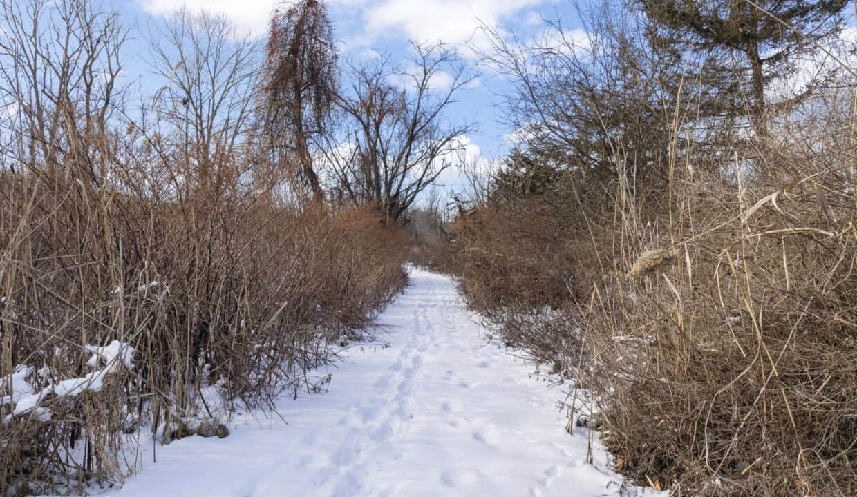 20260128204000636754000000-o