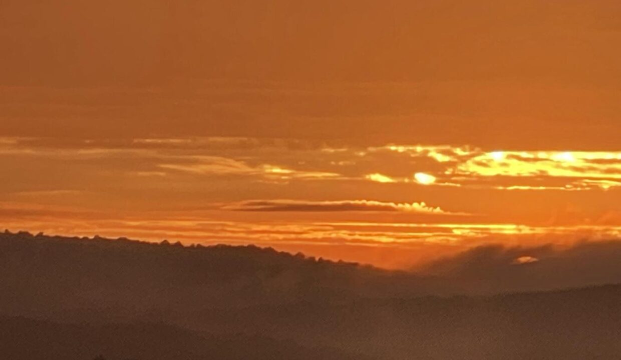 20260402175612395679000000-o